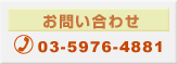 ���₢���킹�@03-5976-4881