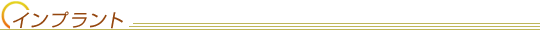 �C���v�����g